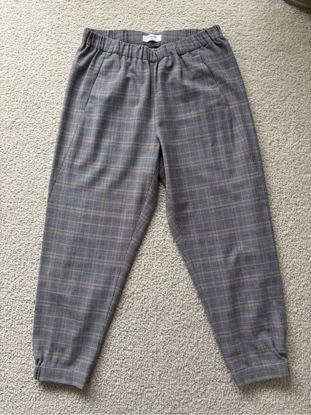 Aritzia Dexter Pants